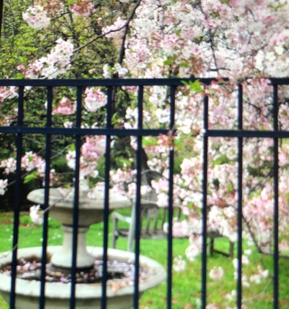 0404DCFD-5733-47C3-BF36-0FAA41AF6321