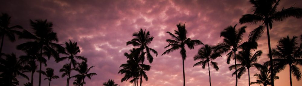 celebrity road trips